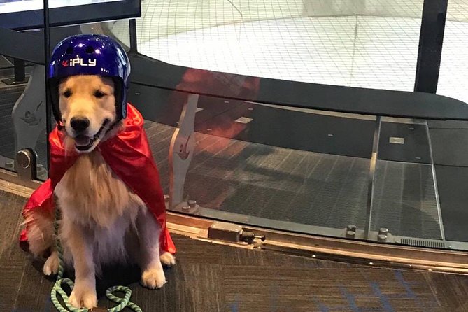 King of Prussia Indoor Skydiving with 2 Flights & Personalized Certificate - Price and value: does $108.90 make sense for two flights?