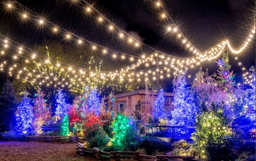 Longwood Gardens Holiday Lights Tour from Philadelphia - Key Points Worth Knowing Before You Go