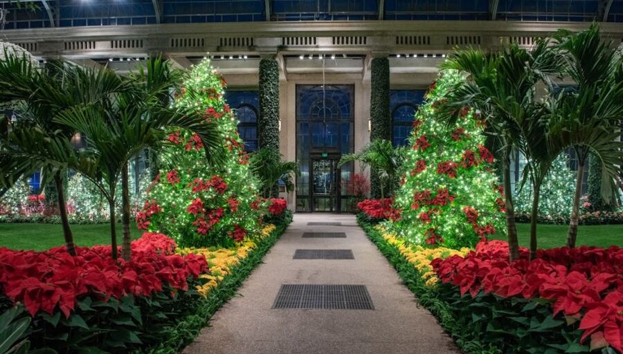 Longwood Gardens Holiday Lights Tour from Philadelphia - Price and Value: Is $149 a Good Deal?