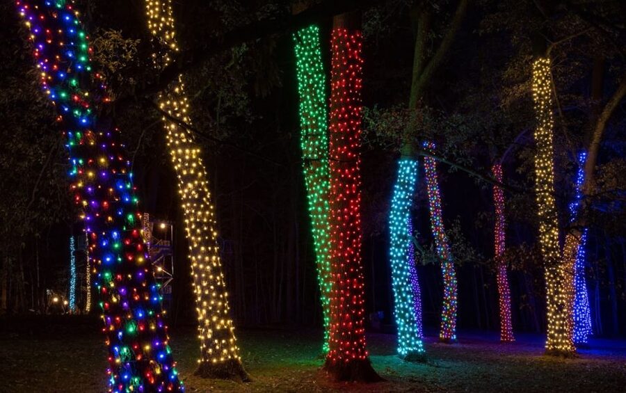 Longwood Gardens Holiday Lights Tour from Philadelphia - A Van Ride That Feels Like Part of the Experience