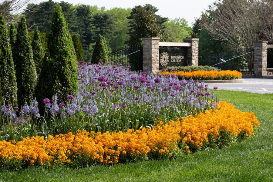 Longwood Gardens Holiday Lights Tour from Philadelphia - Ticket Access Even When Longwood Is Sold Out