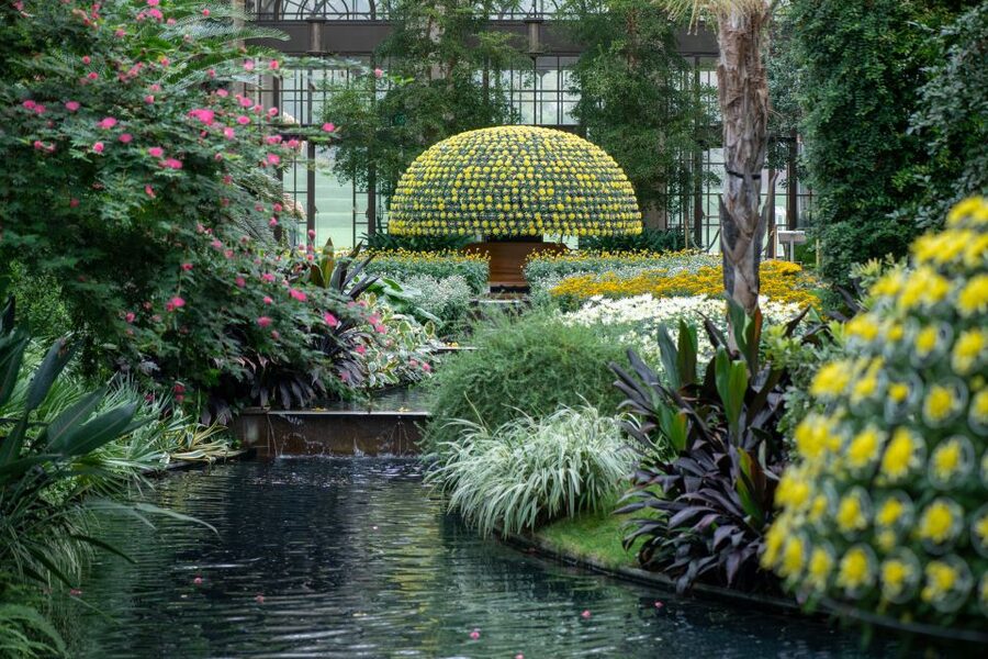Longwood Gardens Holiday Lights Tour from Philadelphia - Using the Time: A Simple Strategy for Your Best Visit