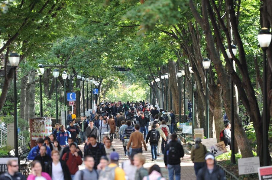 Philadelphia: UPenn Campus Walking Tour & Museum Ticket - Penn Museum Ticket Included: How to Make the Most of Museum Time