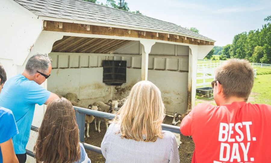 Private Lancaster County Amish Tour from Philadelphia - Bakery Stop and Family-Style Lunch: Eating Well Without Guesswork