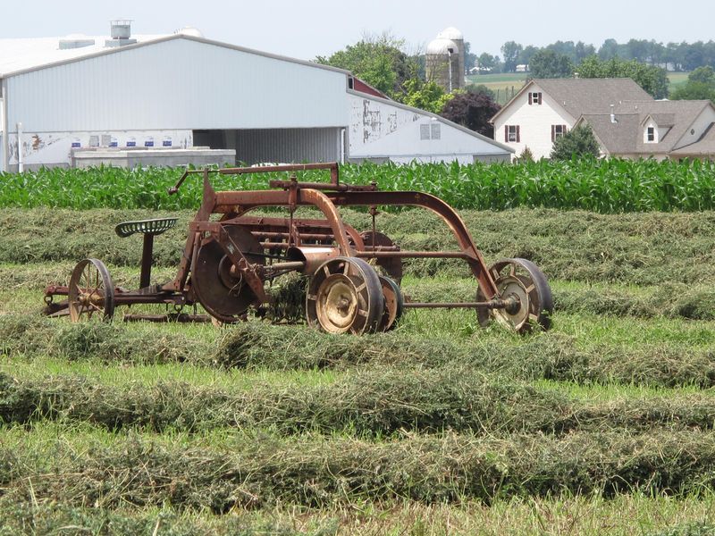 Private Lancaster County Amish Tour from Philadelphia - Time on the Clock: How 8 Hours Feels in Real Life